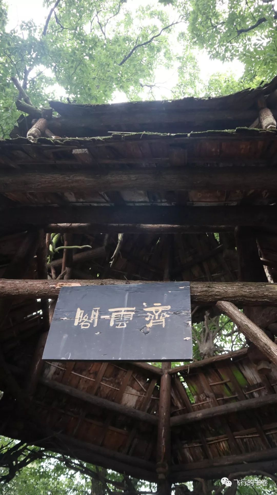 道教四大仙山你爬过几座,青城山为什么被称作道教第一山