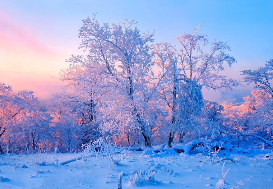 描写雾凇的美景的诗句,最经典的赞美雾凇的诗句