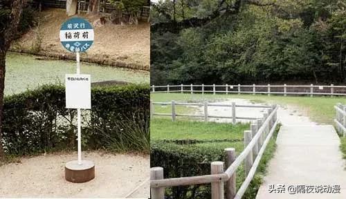 非去不可的理由有哪些,非去一个地方不可的理由