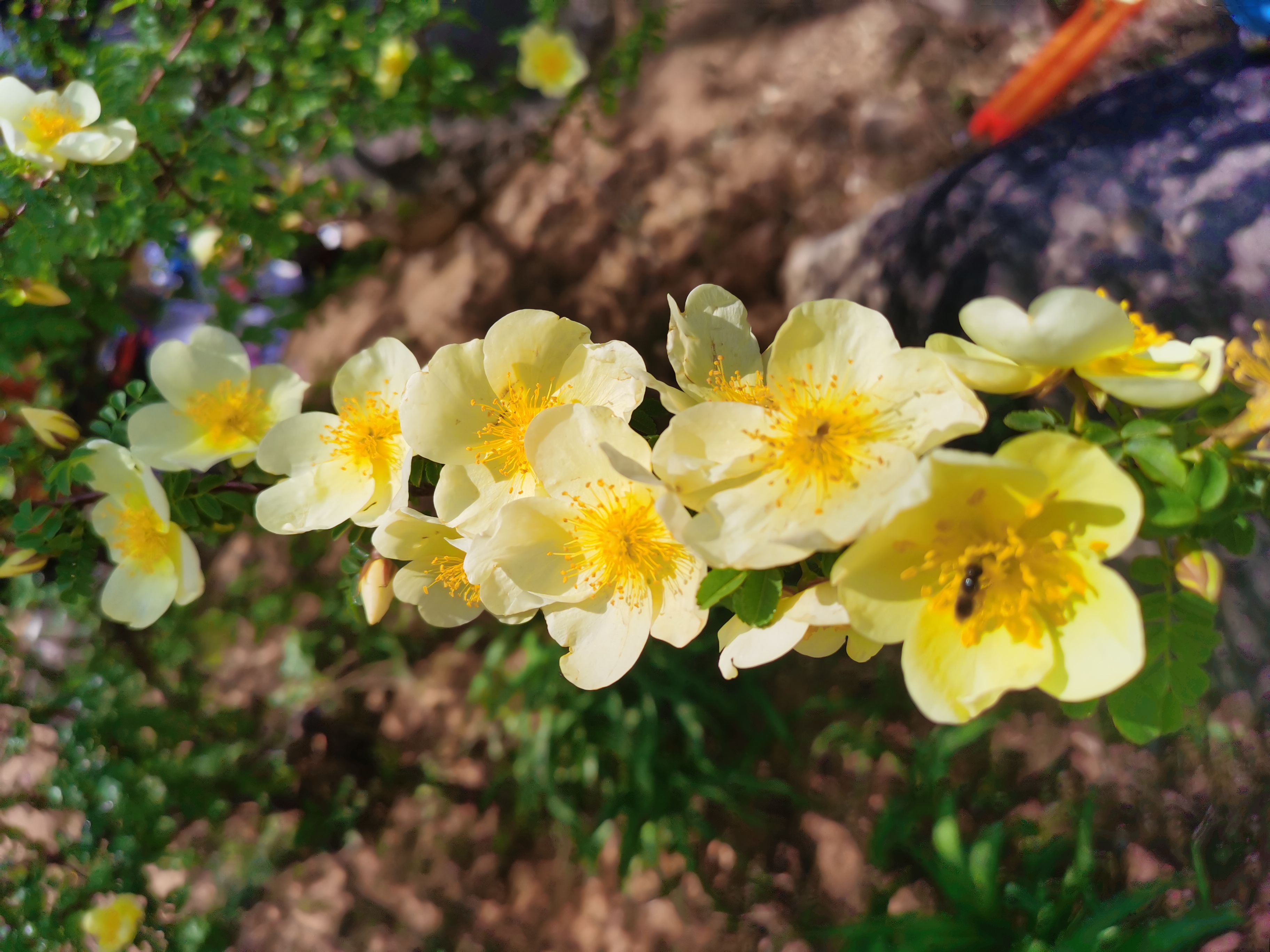 黄花城水长城旅游攻略,行走万里长城之旅