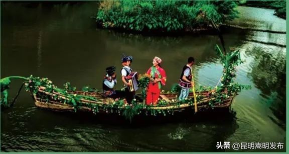 花博会云南,花博会来了