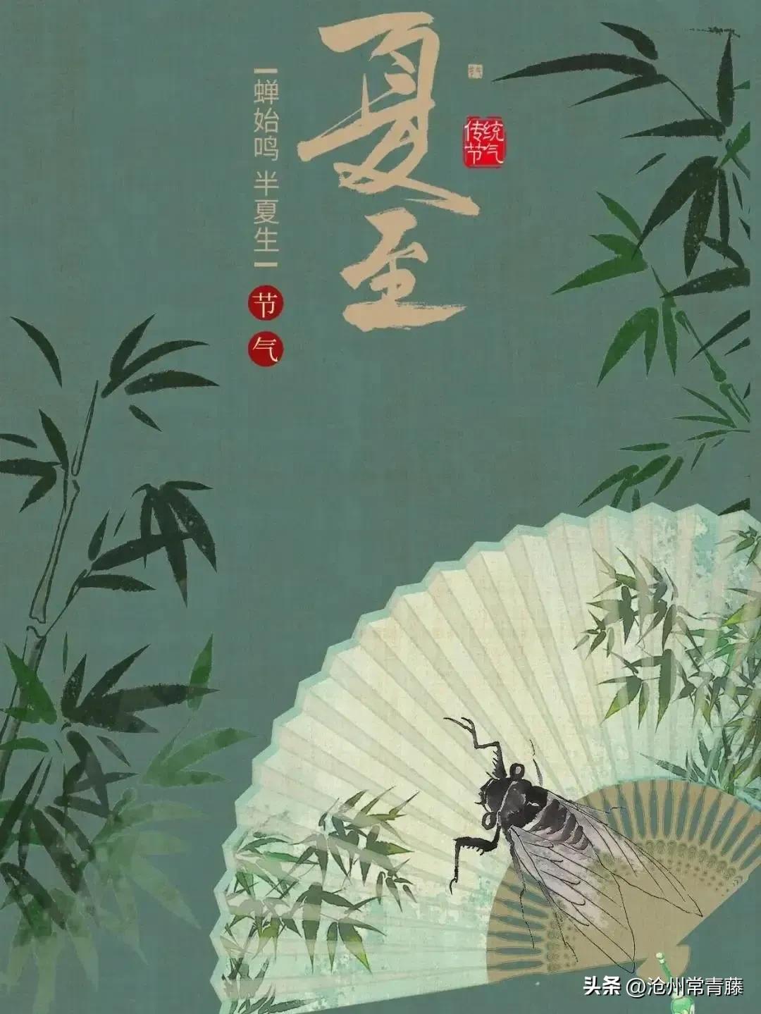 夏至节气感慨,今日夏至话题