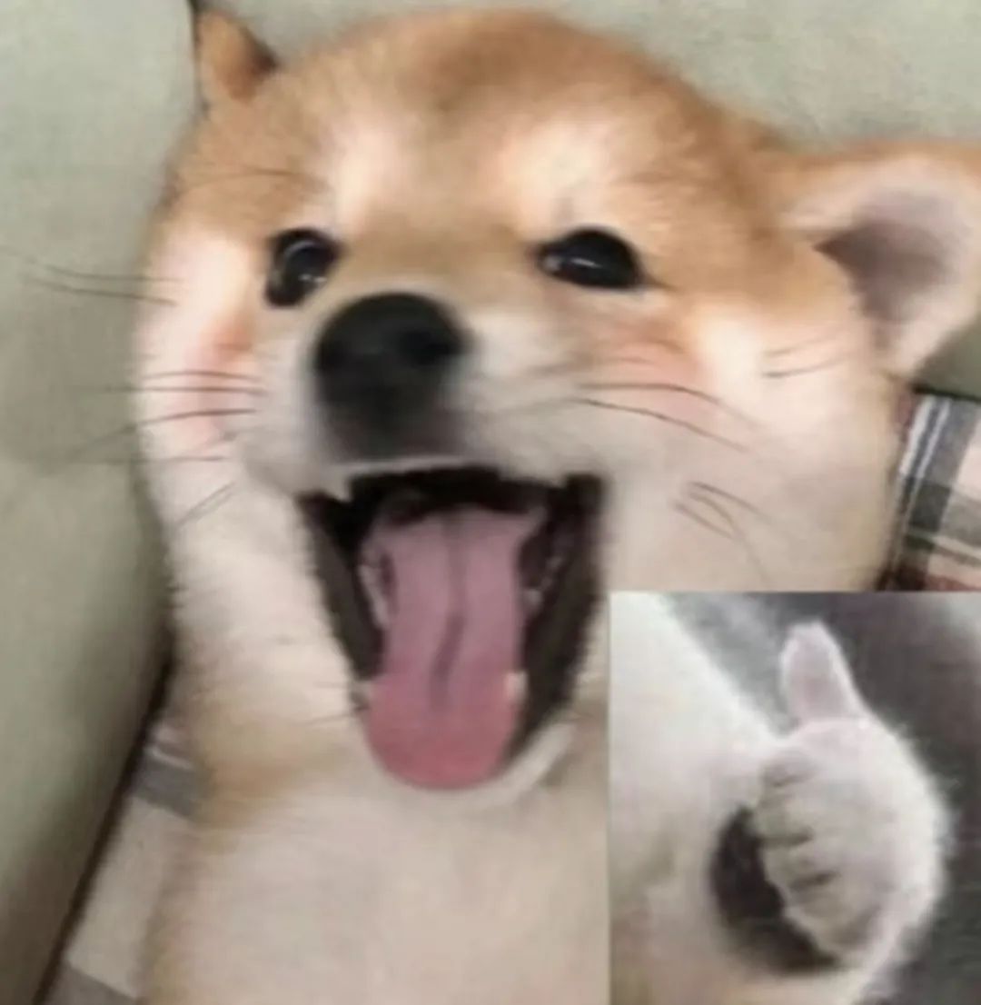 鑻规灉鎶㈣喘缇婃瘺,鑻规灉鏂版満缇婃瘺