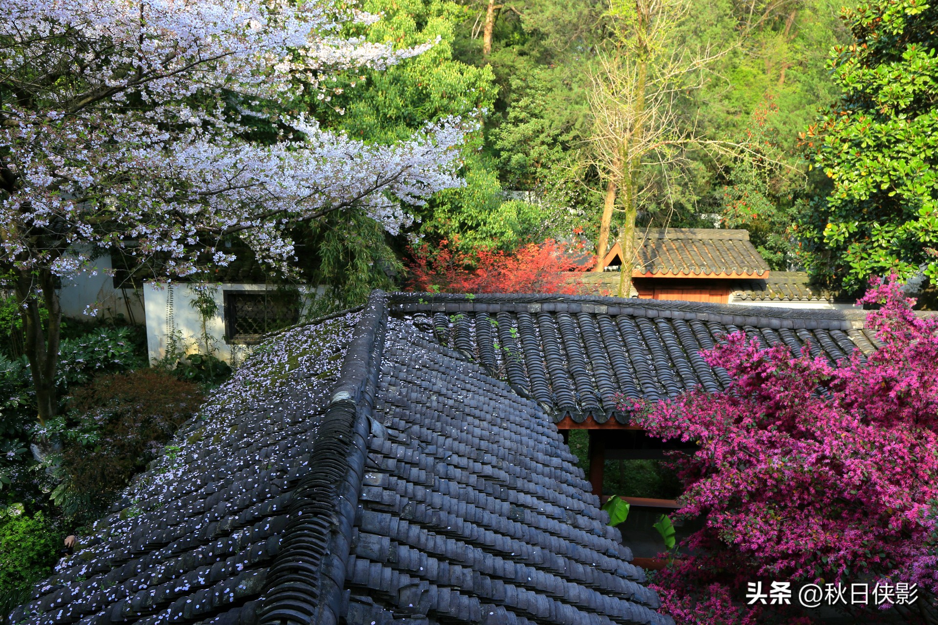 先介绍一下杭州著名的寺院,杭州西湖最著名的寺庙