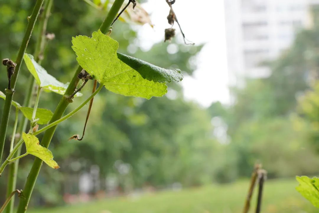 微单小三元镜头,索尼长焦镜头70-200f4机身按键作用