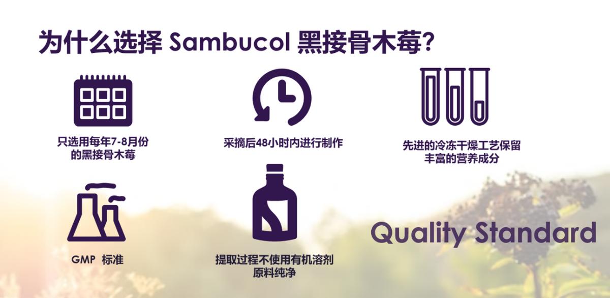 sambucol善倍康黑接骨木怎么样,sambucol黑接骨木是做什么的