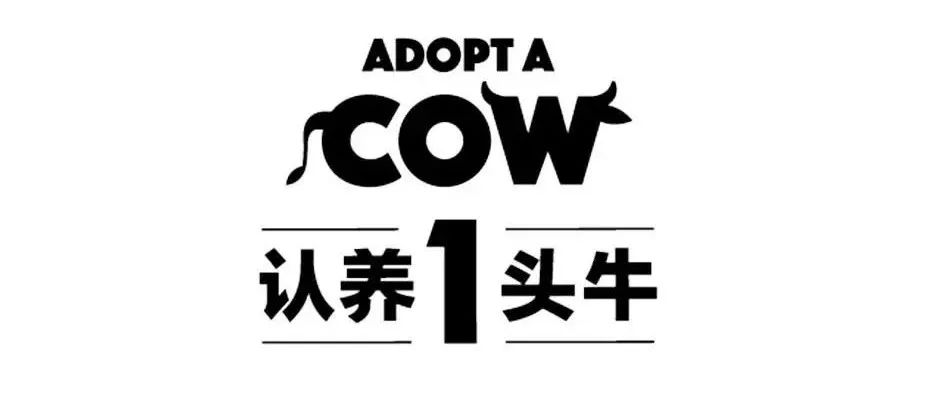 品牌1号位：卖点+卖价x,内容+场景+kol）