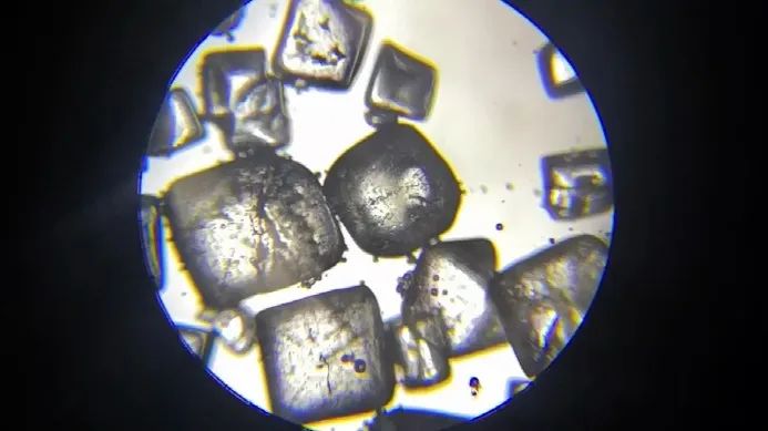 如果进入一粒食盐的内部，你会看到……