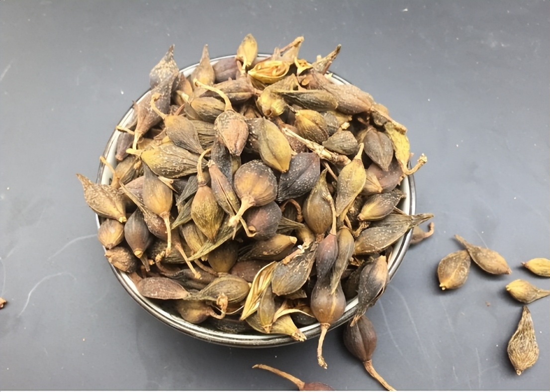 黄连上清片是治什么火的,黄连上清片能治疗哪些疾病