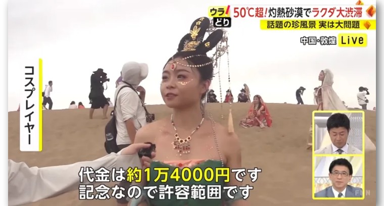 日本记者敦煌堵骆驼,日本记者直播连线冰墩墩