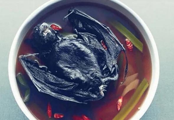 鍥藉榛戞殫缇庨鏂欑悊,鍥藉10閬撲护浜哄穿婧冪殑榛戞殫鏂欑悊