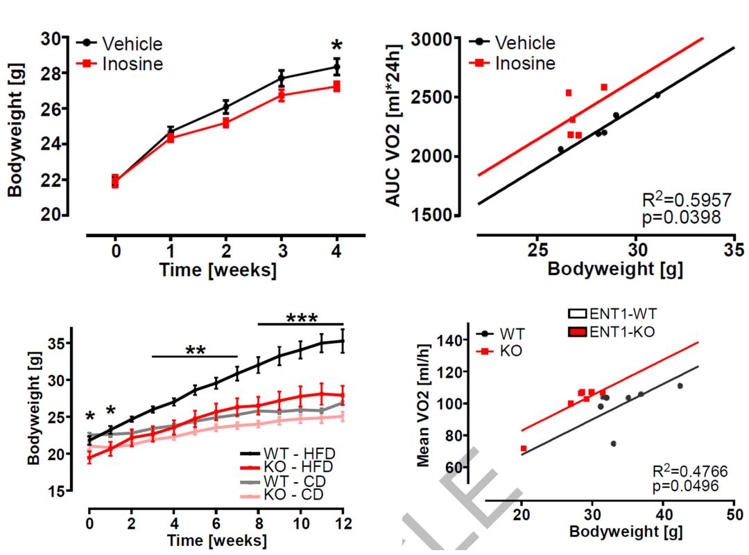 Nature|产热的脂肪凋亡时发挥“余热”