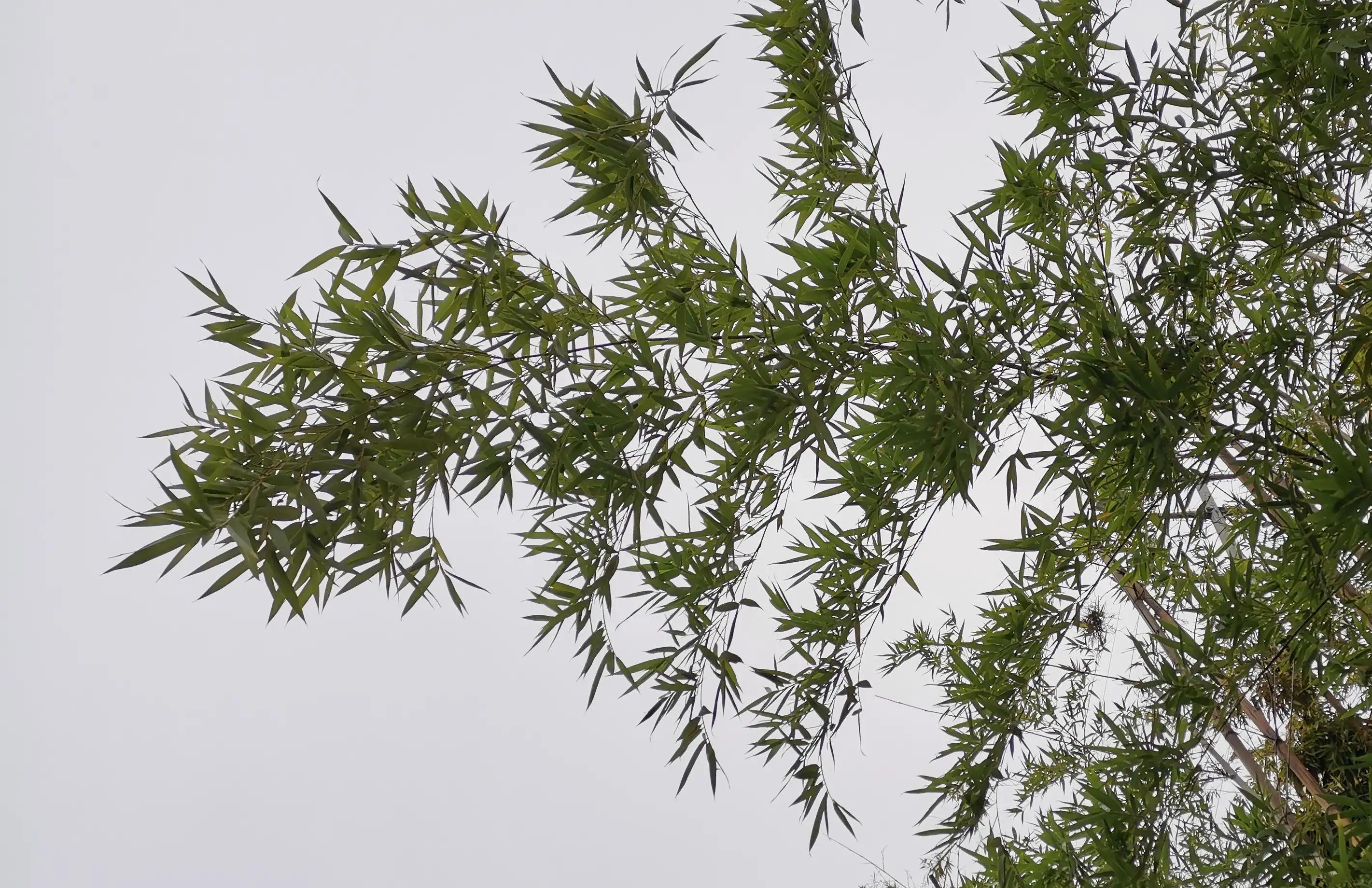 幽默笑话搞笑段子图片大全高清,幽默笑话大全经典搞笑段子下载