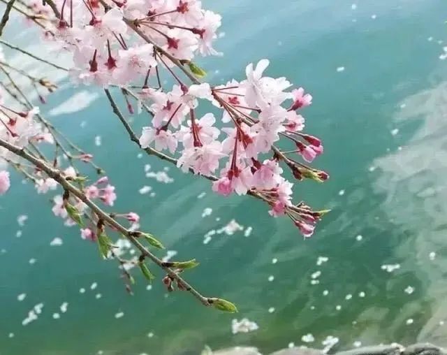 2022年,我就当白活了