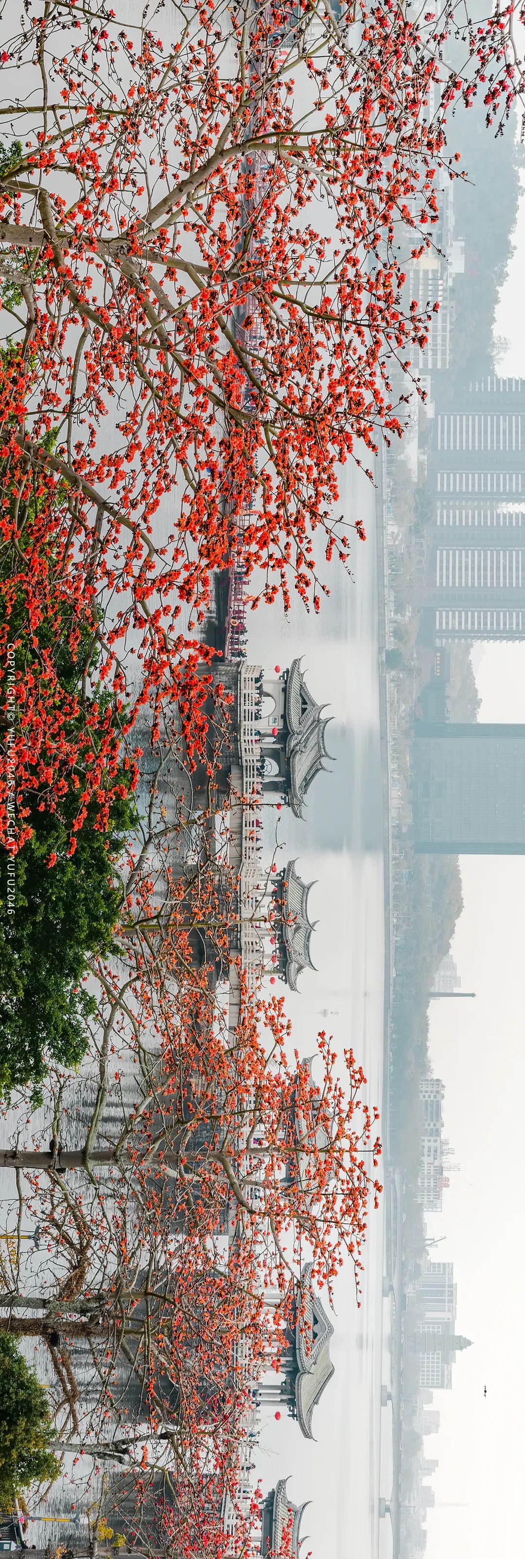 潮州古城别样的风景,瞰见潮州