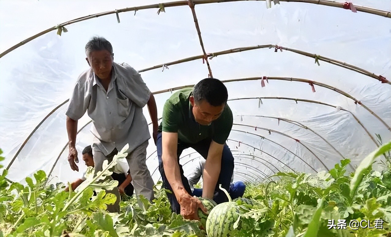 现在农村可以用哪种方式赚钱,2022农村如何致富赚钱