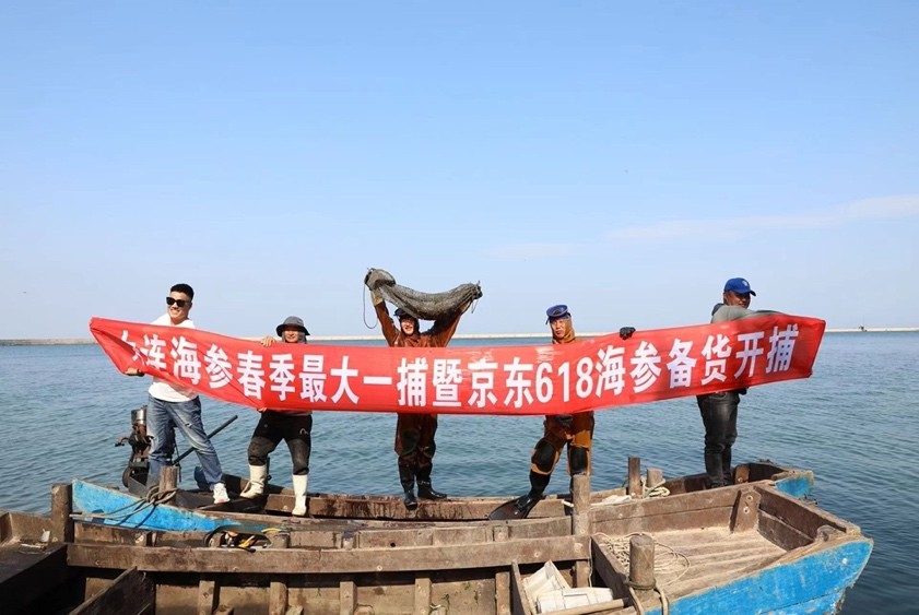 海参圈潜水员水下捞海参,深海捕捞海参完整版