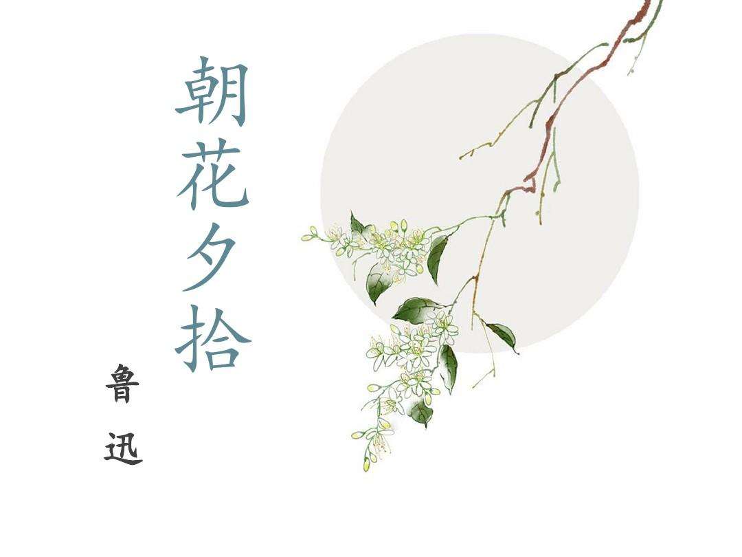 鲁迅先生读书经典语录,鲁迅先生的朝花夕拾读书方法