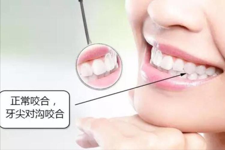 老年人如何防止掉牙,掉牙的老人怎么护理牙齿