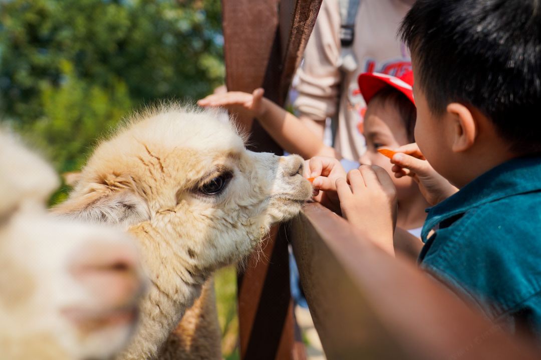 遇间播报|莫干山必睡六大美宿！看山看水看云看日出，优哉游哉~