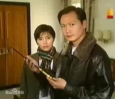 这些新加坡电视剧你都看过了吗,推荐新加坡经典老电视剧