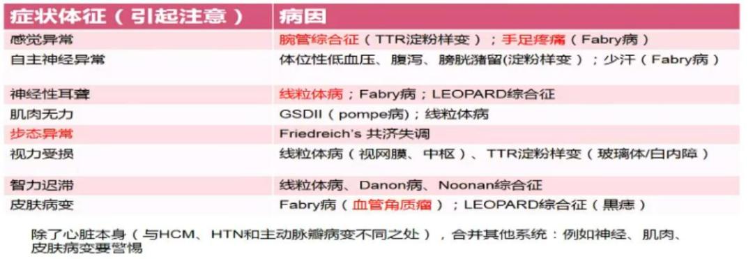 体检说心肌肥厚是怎么回事？造成原因有6种，不仅仅只有高血压