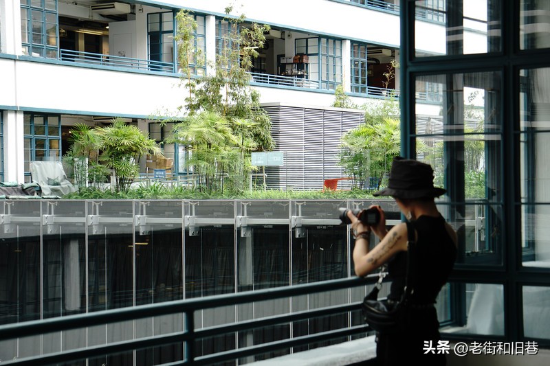 罗生门和黄粱梦,罗生门香港live