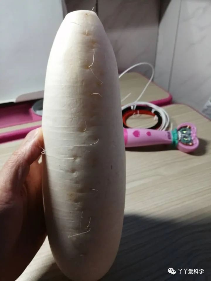 3D打印心脏,3D打印雕塑