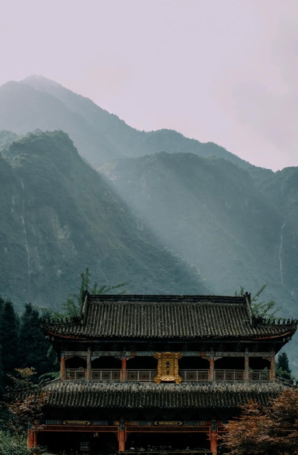 褰窞鐧介箍灏忛晣闇嶆牸娌冭尐,褰窞闇嶆牸娌冭尐