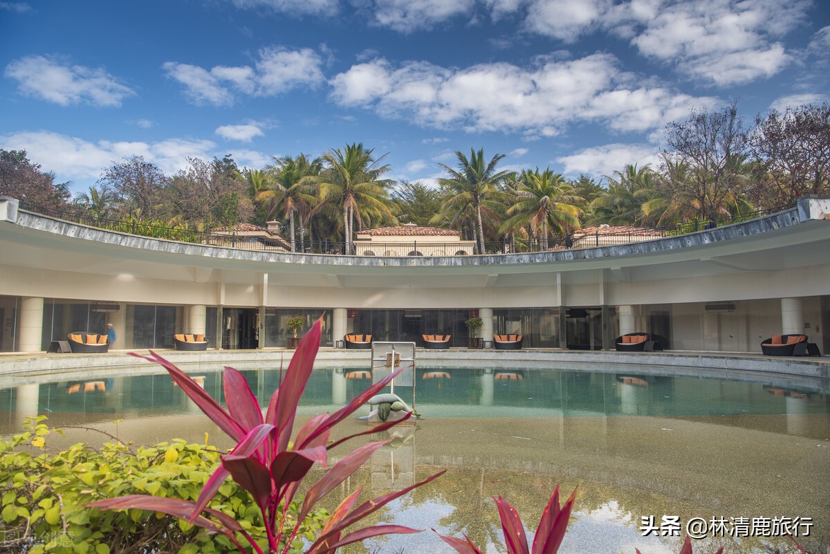 东北人为什么扎堆海南,海南三亚东北人为什么那么多