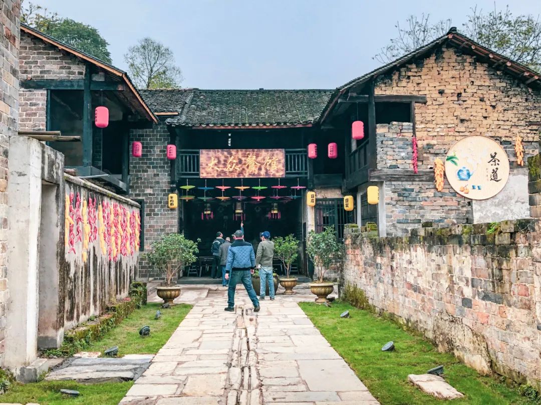 跟着chatgpt学习,跟着chatGPT学知识