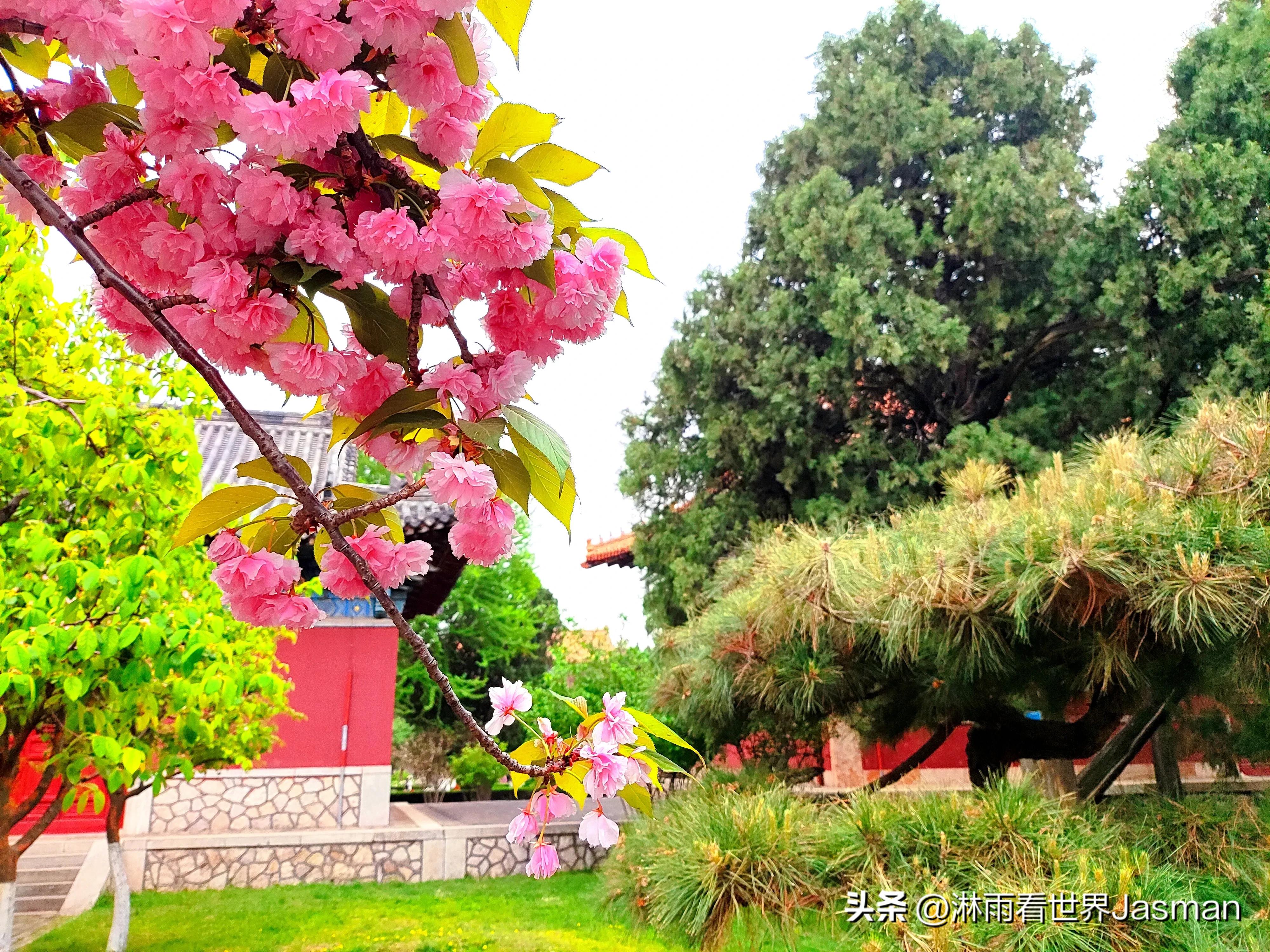 泰山庙东岳庙,泰山东岳大帝庙是岱庙吗