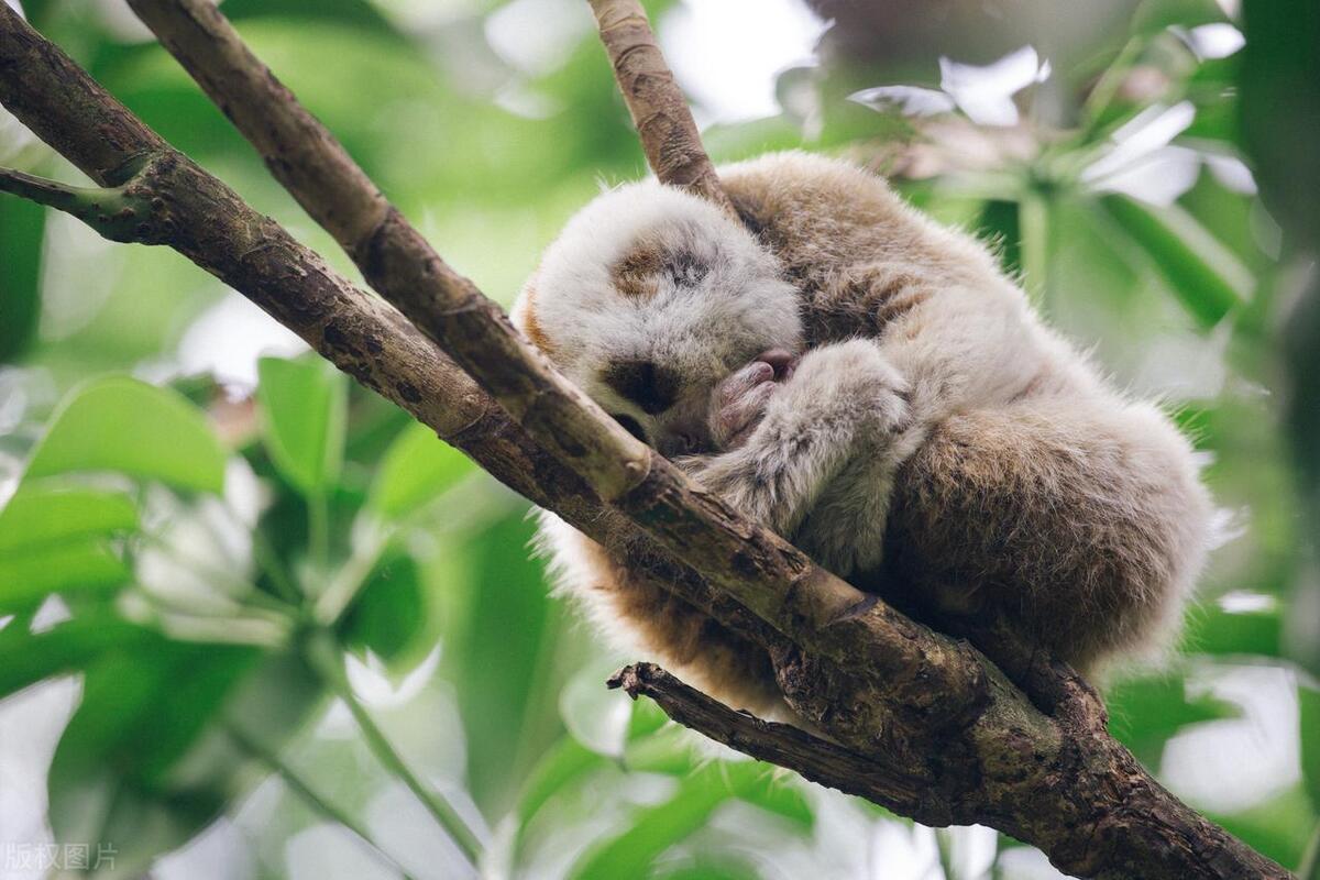 2022云南旅游景点攻略自由行,云南旅游玩得不过瘾