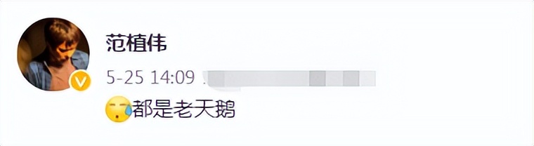 王心凌翻红后回应,王心凌翻红被采访