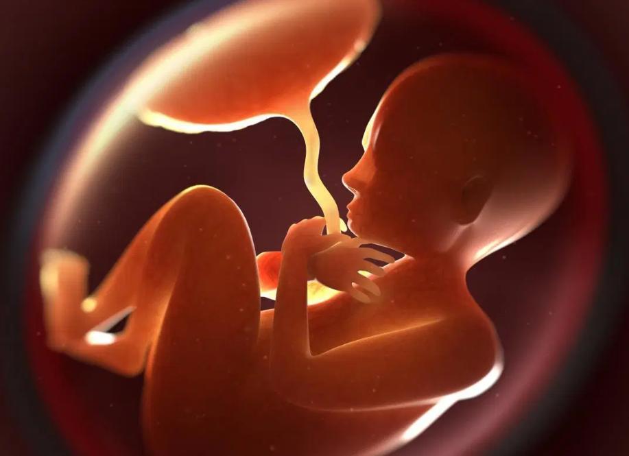 孕后期怎么给胎儿补钙效果好,孕期缺钙严重怎么快速补钙