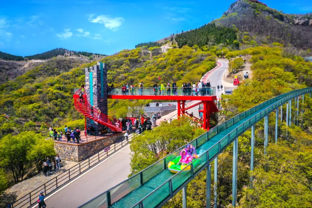 身份证号3703开头是哪里,身份证3703开头是哪里