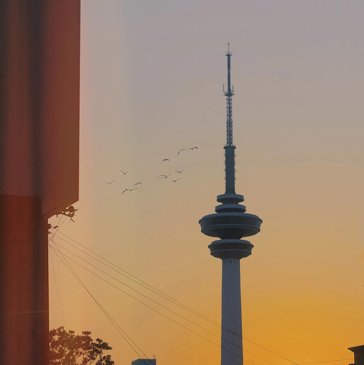 带省份的爱情文案广东阳江 (带省份市的爱情文案)