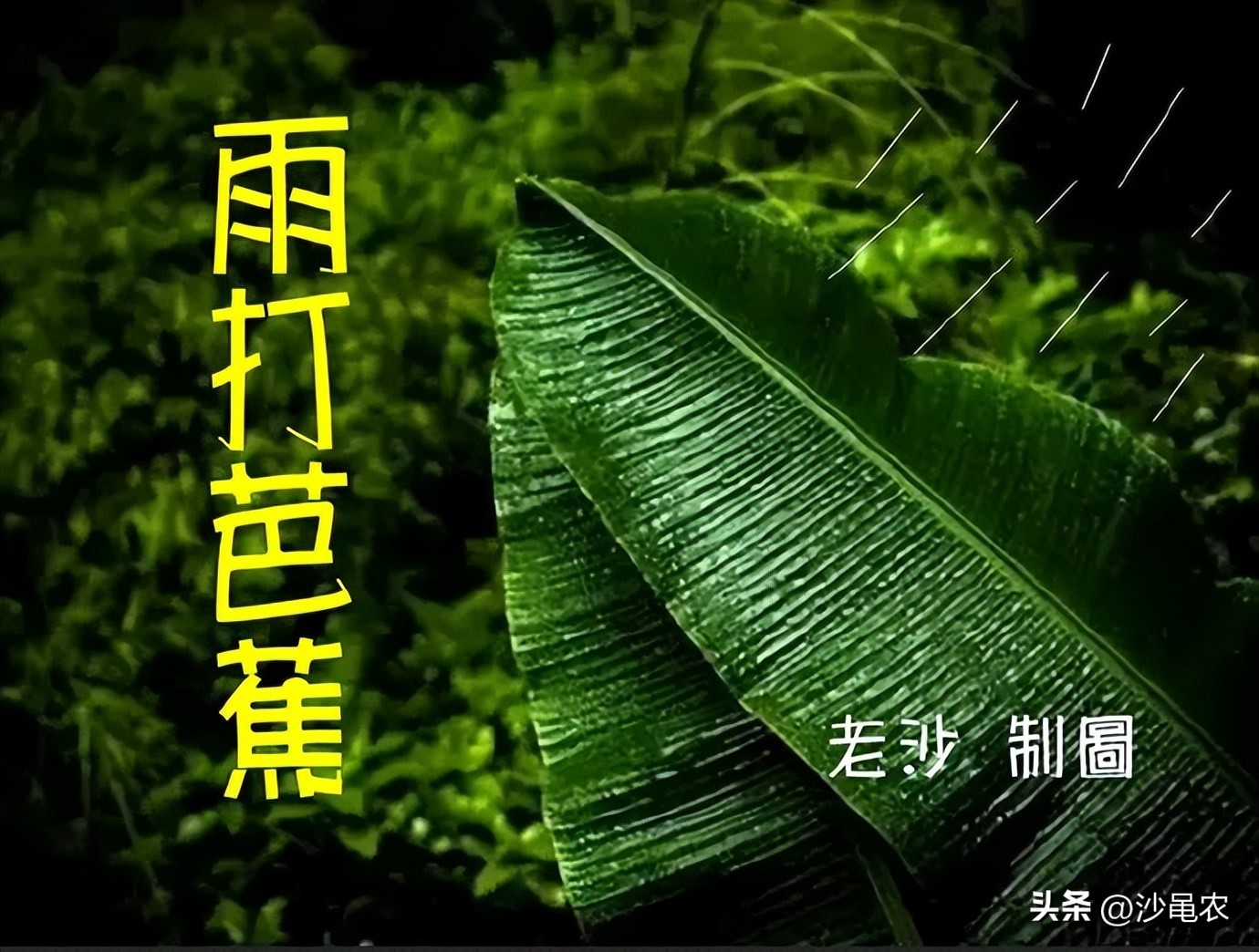 股市早8点,股市早评8月10日