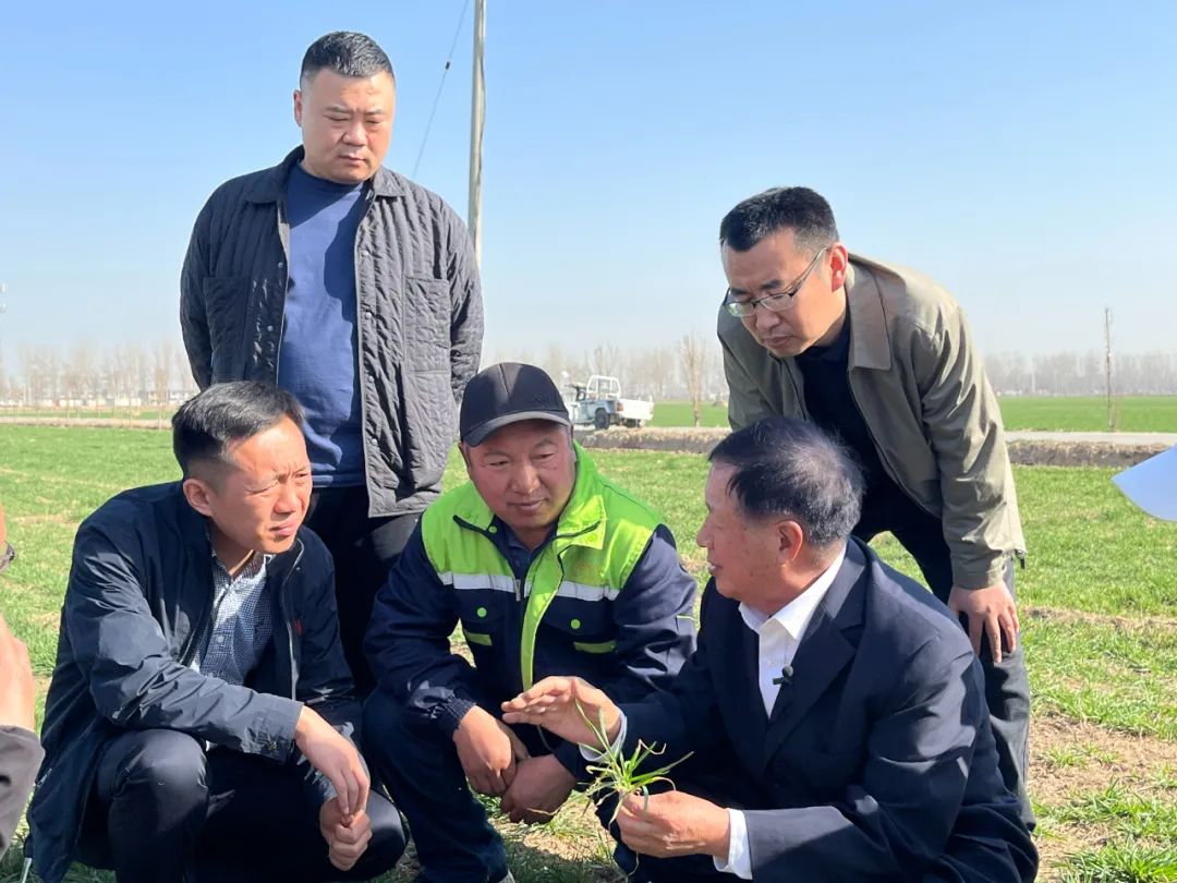 冀鲁豫皖陕五省部分小麦主产县春管探行