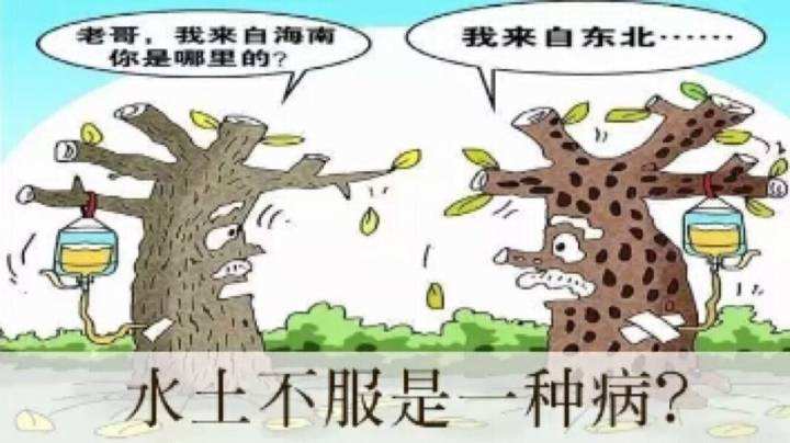 水土不服肚子胀气一招自然消除,拿什么来解决水土不服