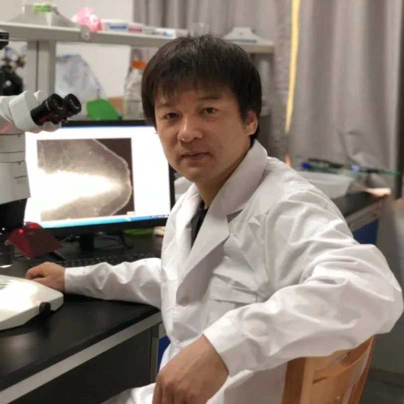 众明星大佬评价袁隆平,世界各国科技大佬评华为