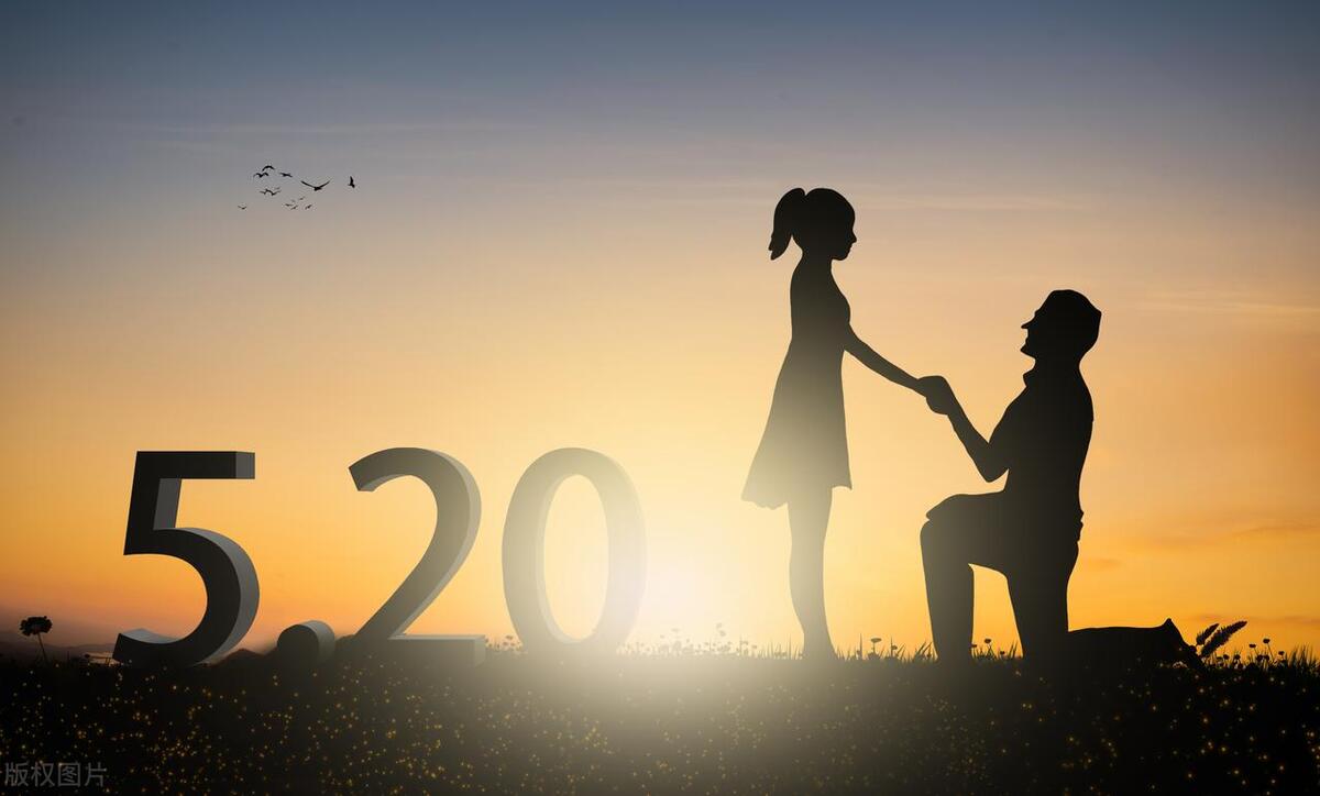 世界上最大的*局骗**：寻找灵魂伴侣