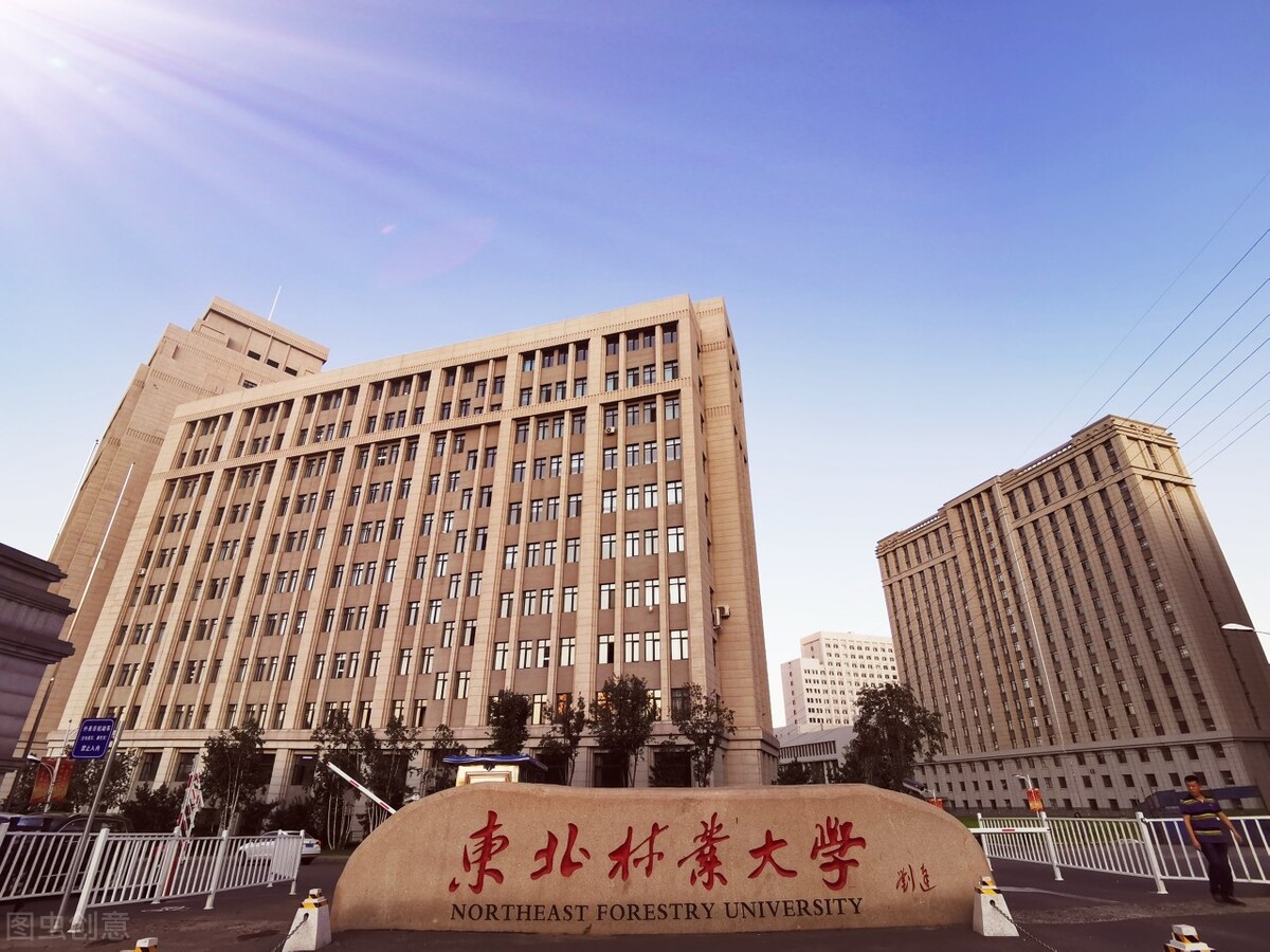 东北林大好找工作吗,东北农大本硕博班就业前景