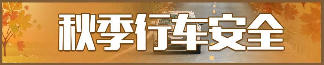 “秋乏”来袭，开车犯困怎么办？|秋冬季行车安全