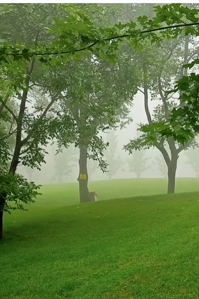 漫山花溪谷五一开吗,漫山花溪谷春节开放吗