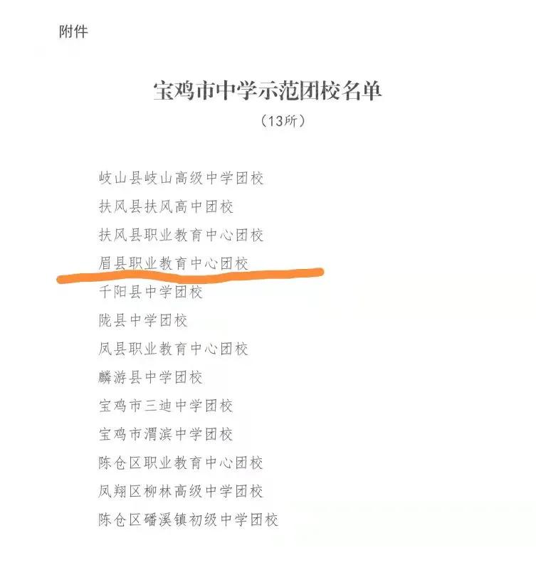 鍥㈠洟宸ヤ綔鏃ュ父,鍥㈠洟宸ヤ綔缁忓巻