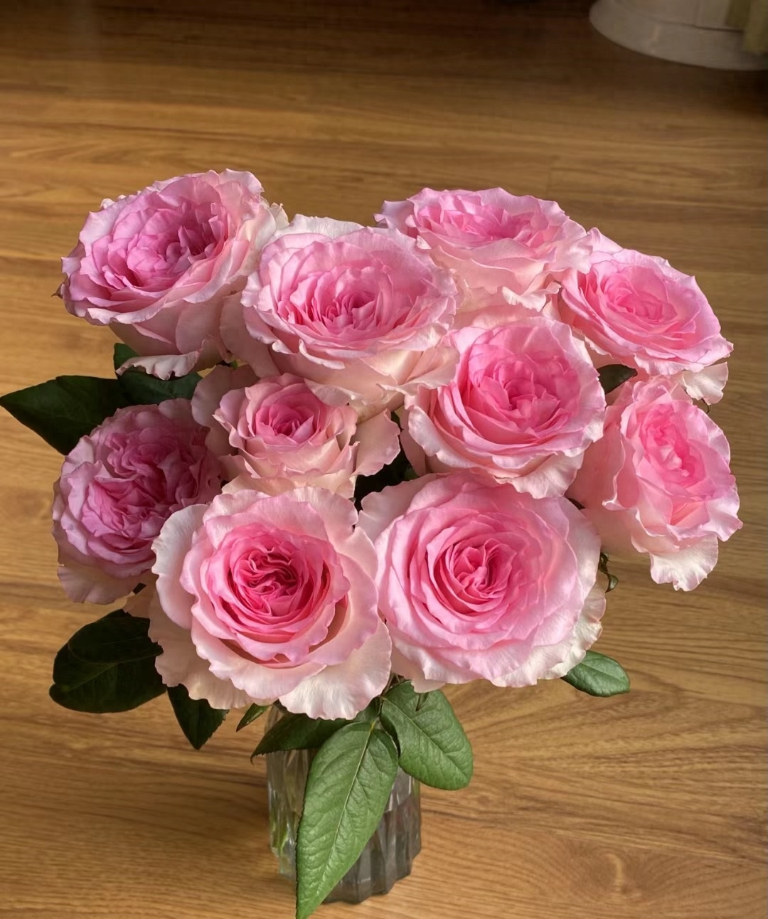 十大惊艳的月季花,有种月季叫什么藤