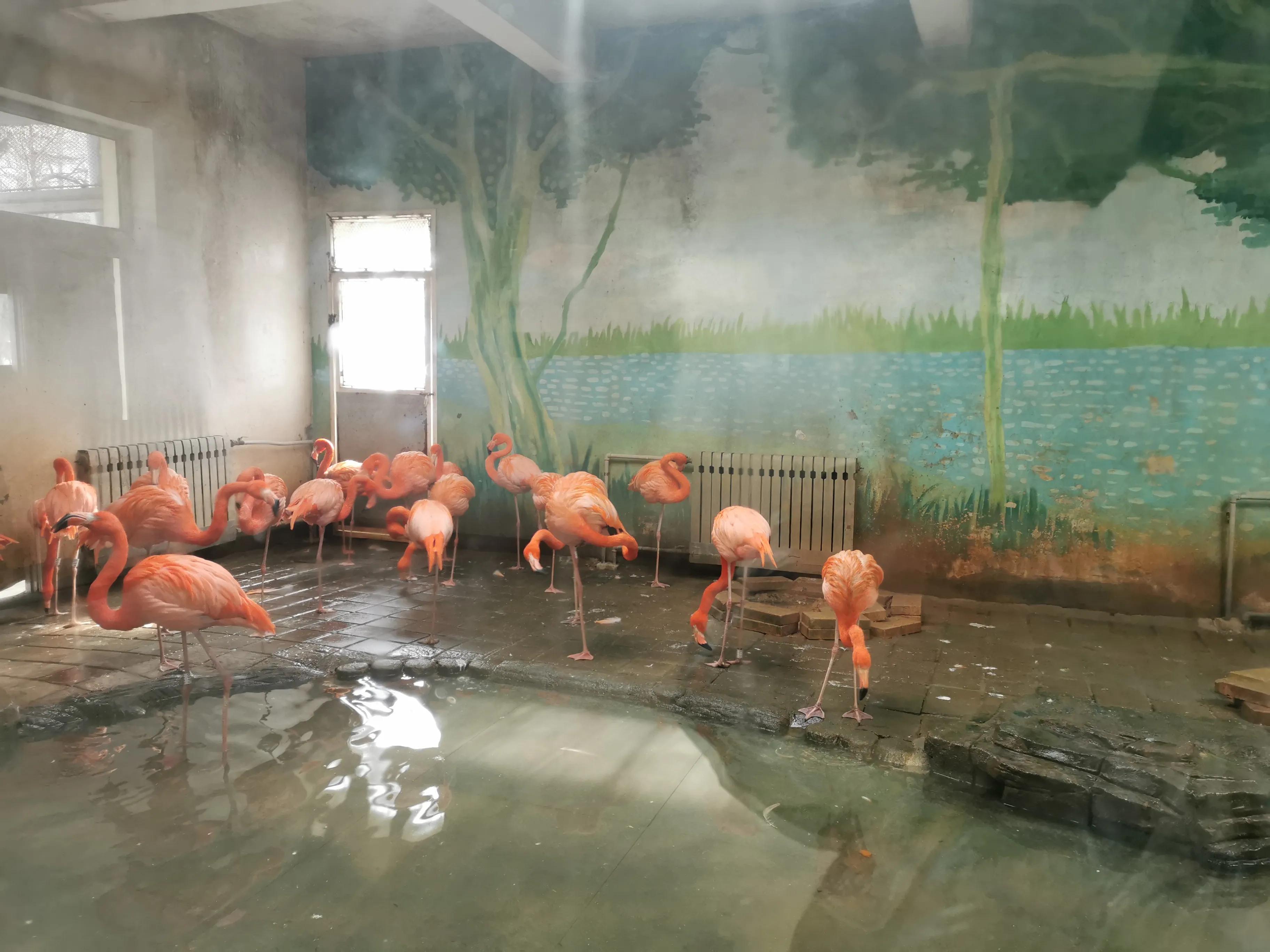 动物园里的温馨瞬间,动物园搞笑瞬间