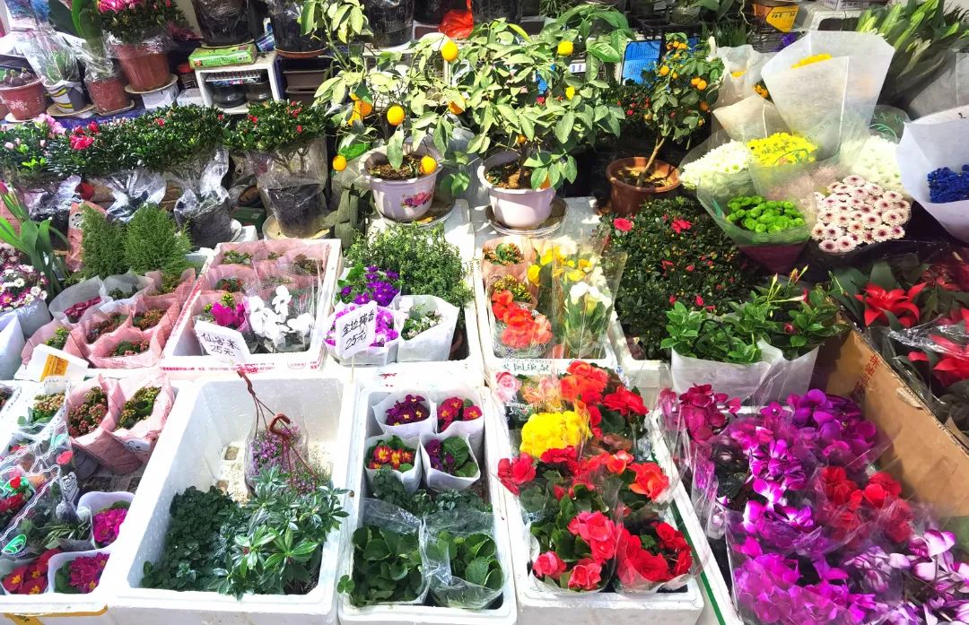 东城过大年|春节临近年味浓，东城年货市场供销两旺