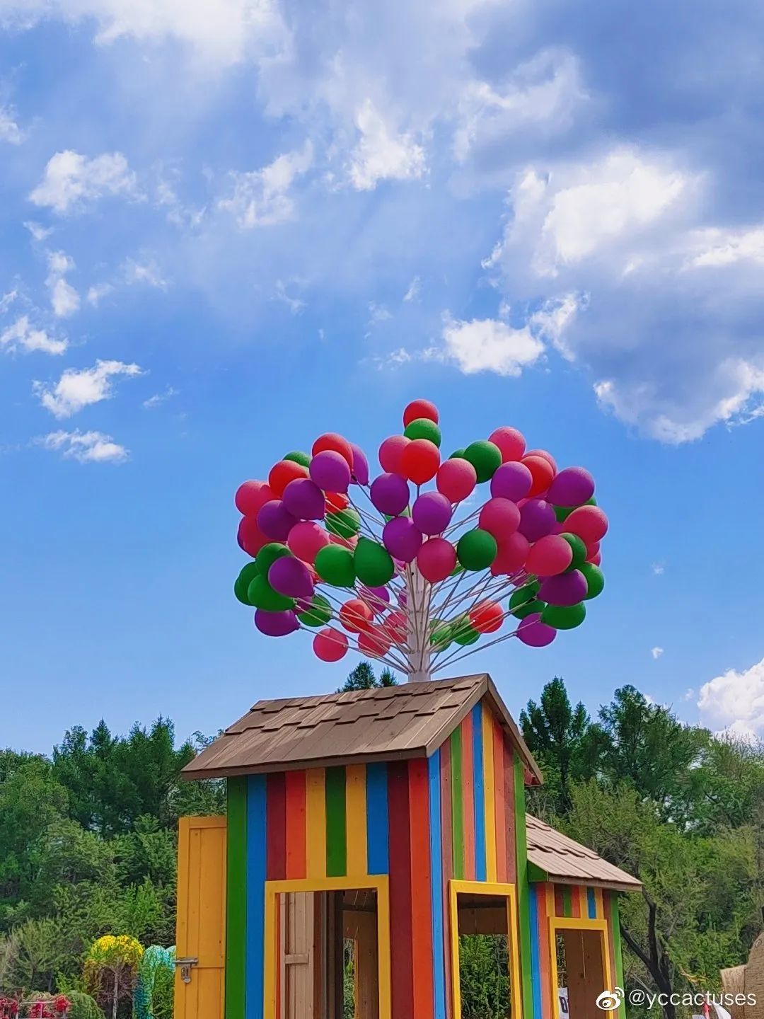 超多缤纷活动抢先看！这里有“暑”不尽的快乐